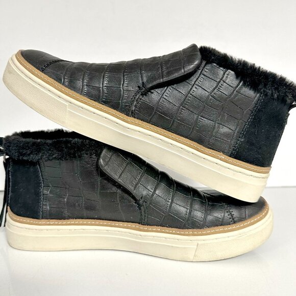 Toms Paxton Sneaker - Picture 4 of 9